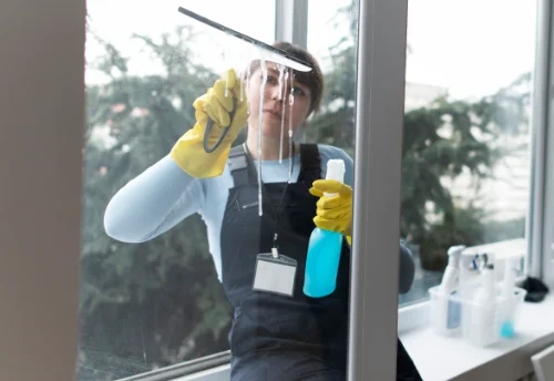 Nettoyage de vitres intérieures et extérieures à Sagonne